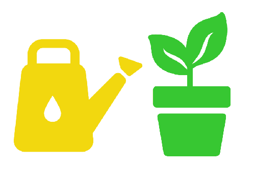 Wasserhaushalt: Pflanzen gießen